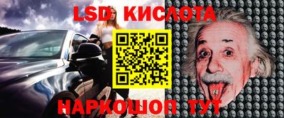 стаф Камышлов