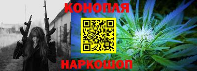 стаф Камышлов