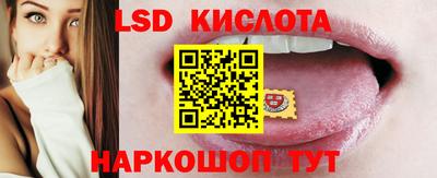 стаф Камышлов
