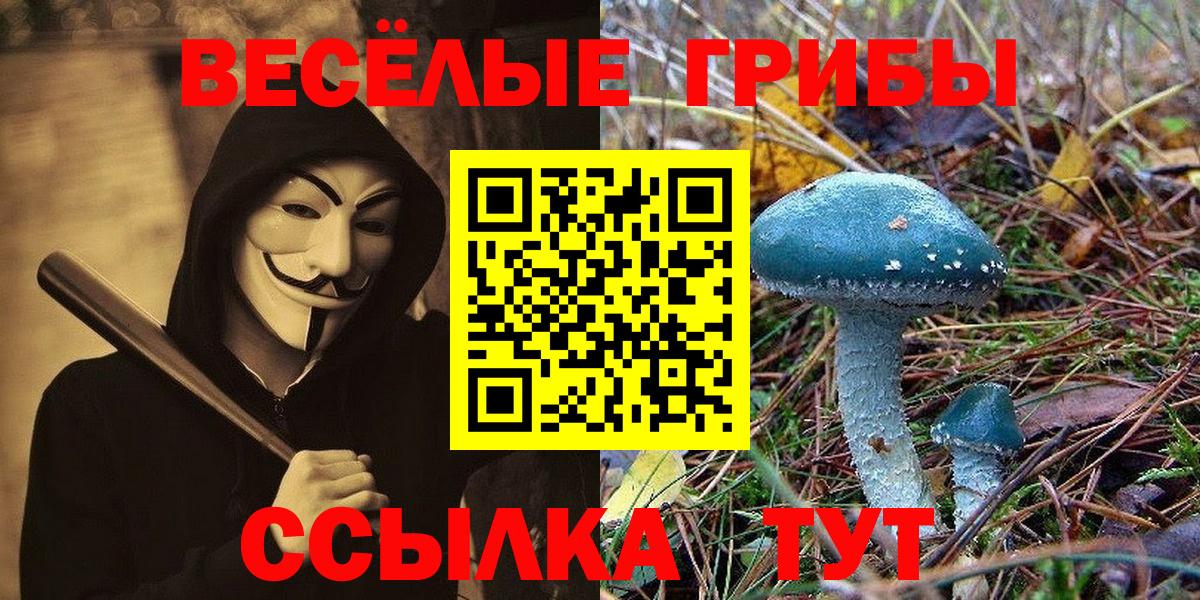 Галлюциногенные грибы Psilocybe Кизляр